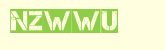 captcha2